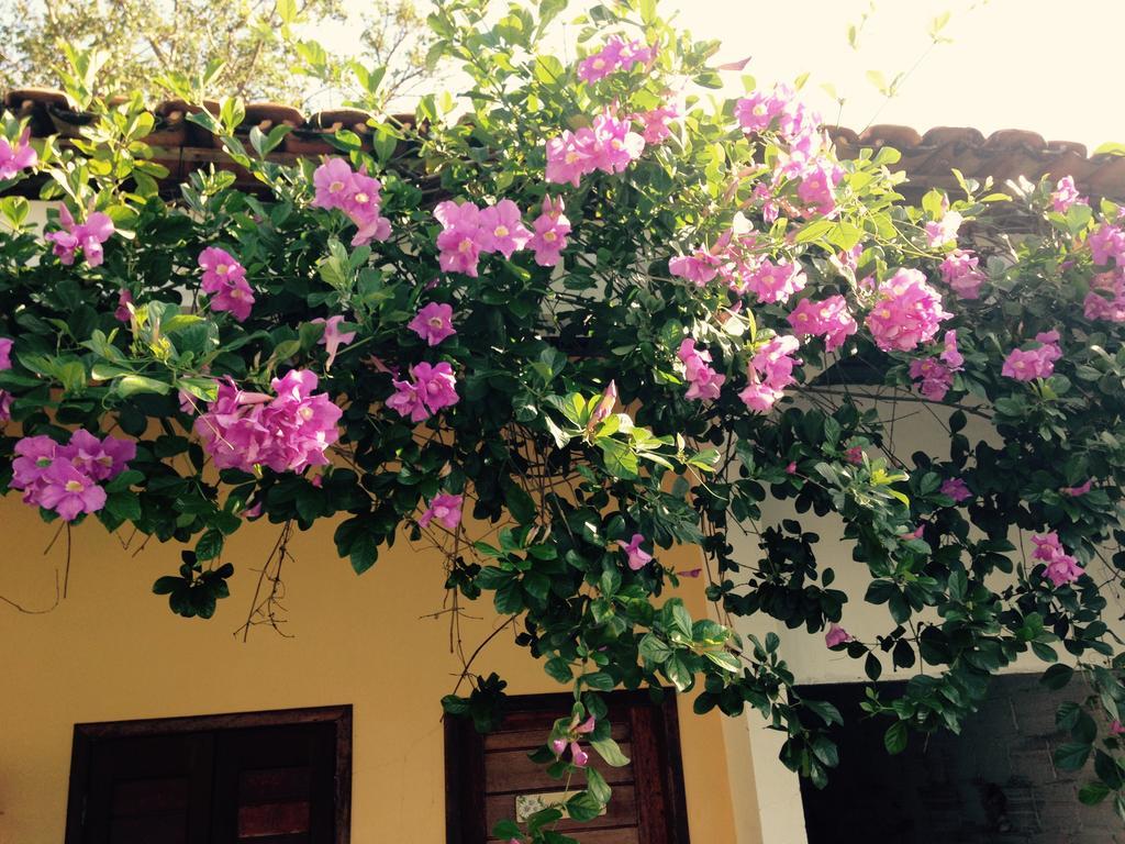 Pousada Santa Barbara Маруда Экстерьер фото